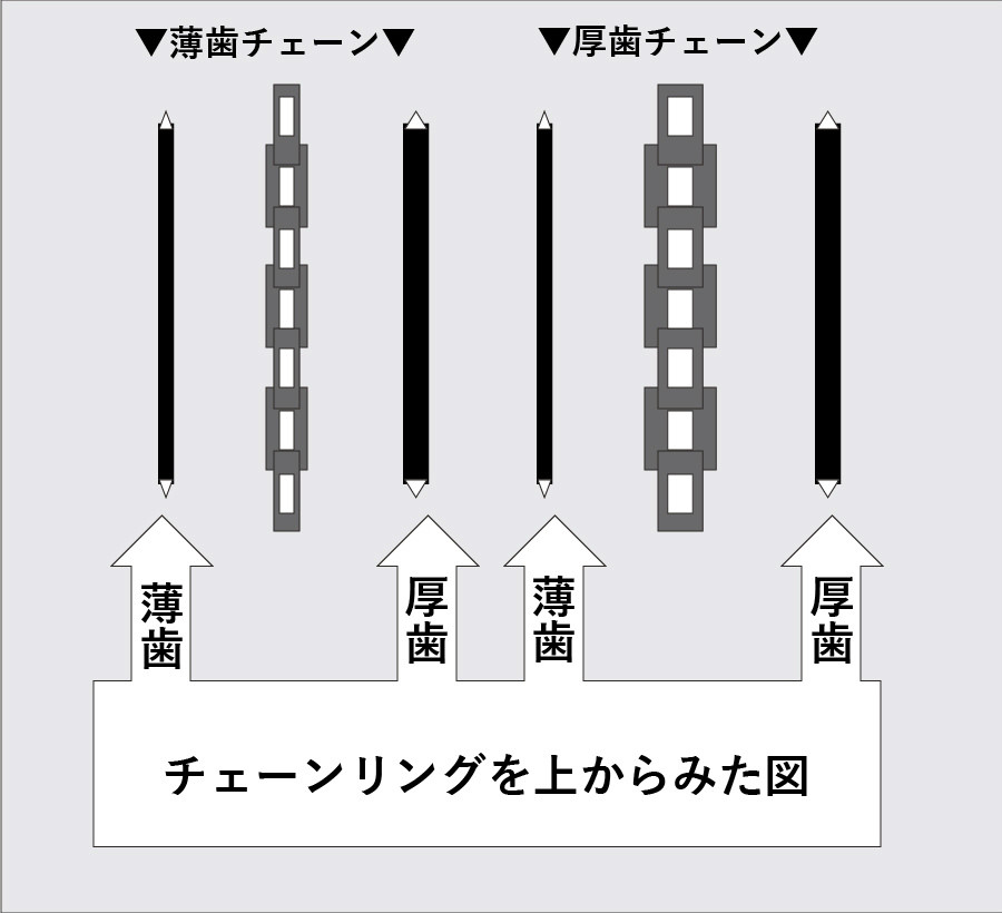 チェーンリングとチェーン｜厚歯と薄歯の相関図