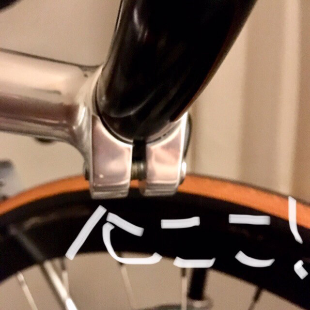NITTO パールステム「NP2」の特徴